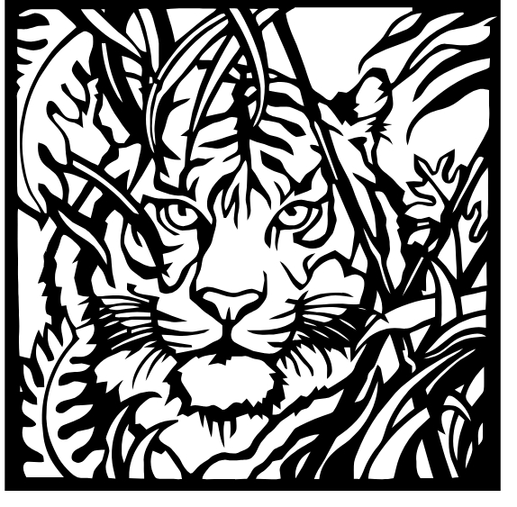 Descarga cuadro de cara de tigre