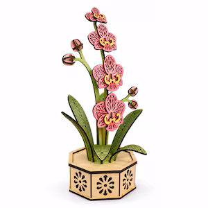 Maceta Decorativa